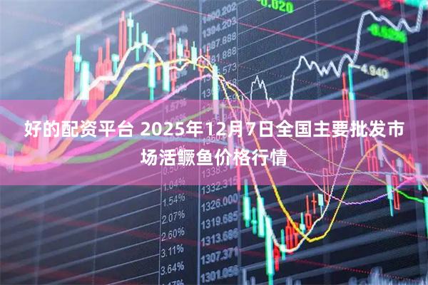 好的配资平台 2025年12月7日全国主要批发市场活鳜鱼价格行情