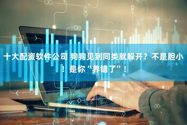 十大配资软件公司 狗狗见到同类就躲开？不是胆小！是你“养错了”！