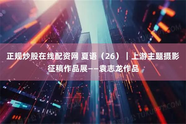 正规炒股在线配资网 夏语（26）｜上游主题摄影征稿作品展——袁志龙作品