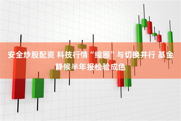 安全炒股配资 科技行情“缩圈”与切换并行 基金静候半年报检验成色